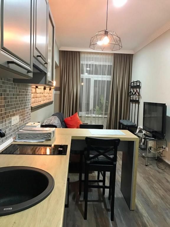 Кухня — Studio, Winkel Apartment Vuzka